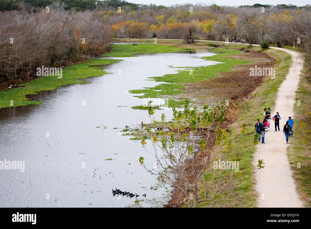 Brazos Bend State Park, Needville, Texas Stock Photo - Alamy