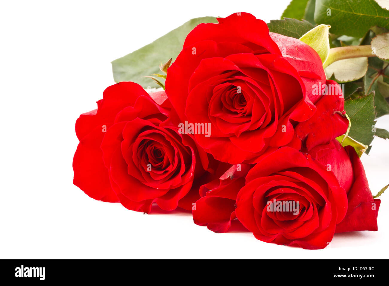 bouquet of three red roses isolated on white background Stock Photo Alamy