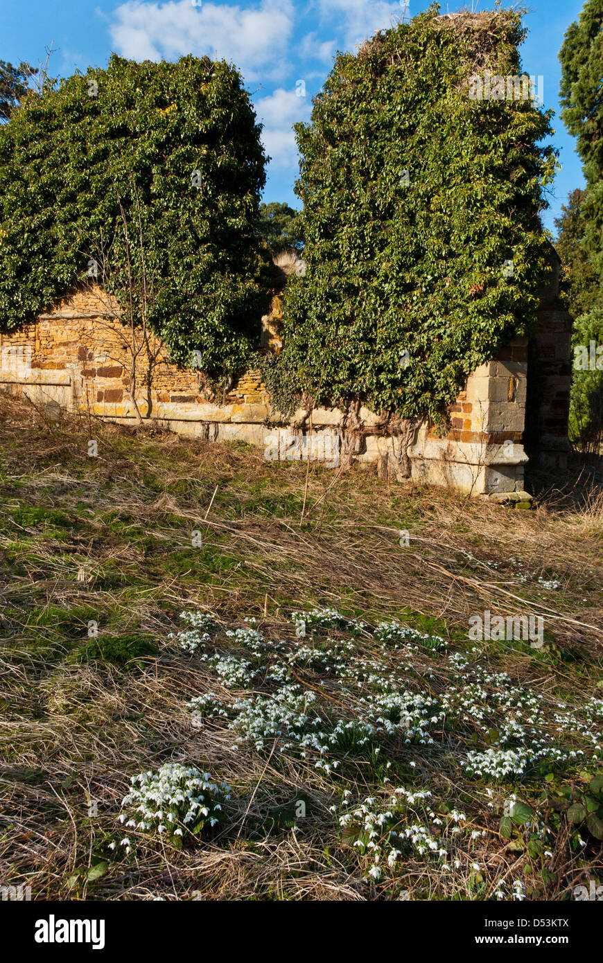 Ruins of the old church of St John, Boughton Green, Northampton