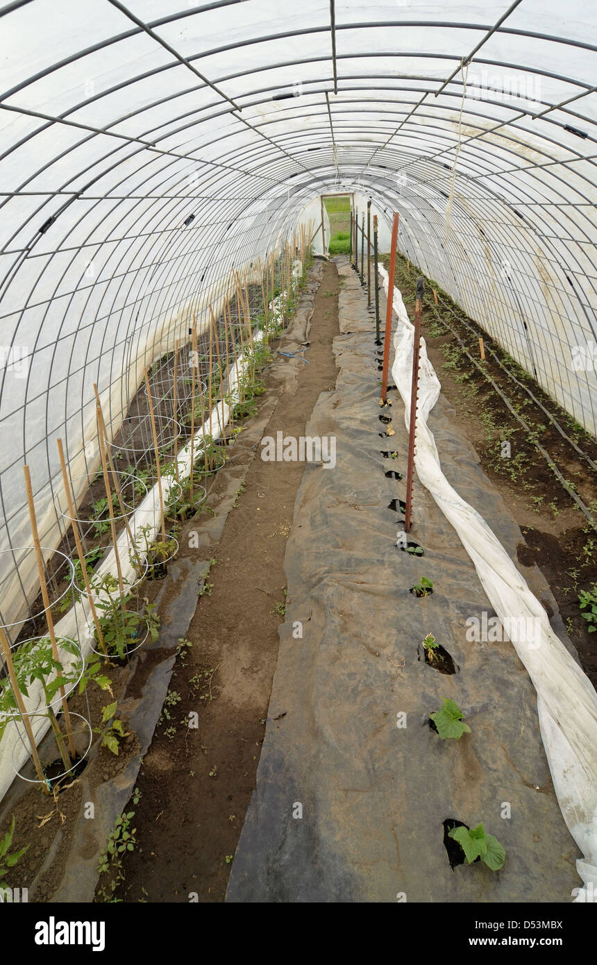 Basil joseph hires stock photography and images Alamy