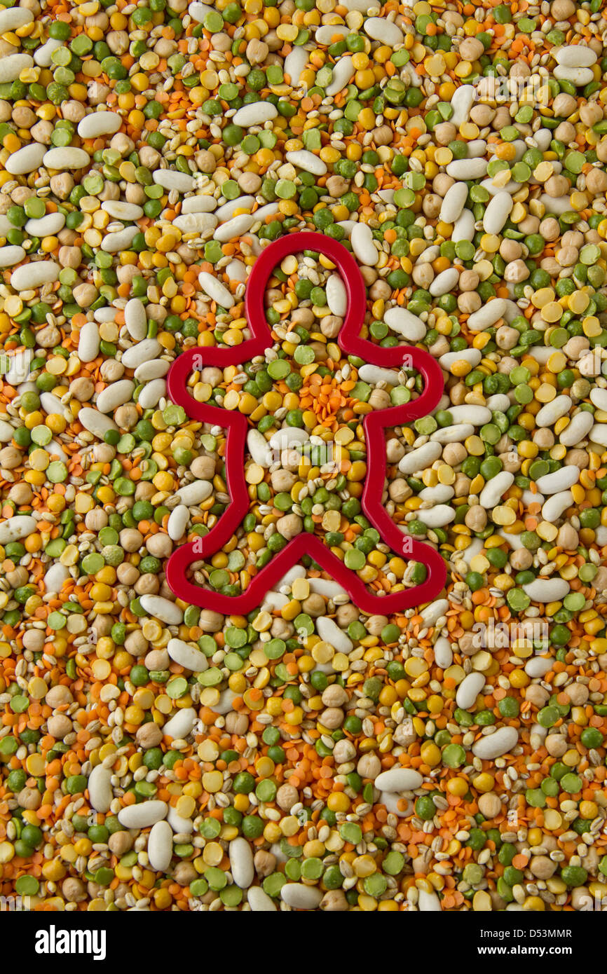 Mixed grains, pulses, beans, peas and legumes, with red cookie cutter shaped like a person (man) Stock Photo