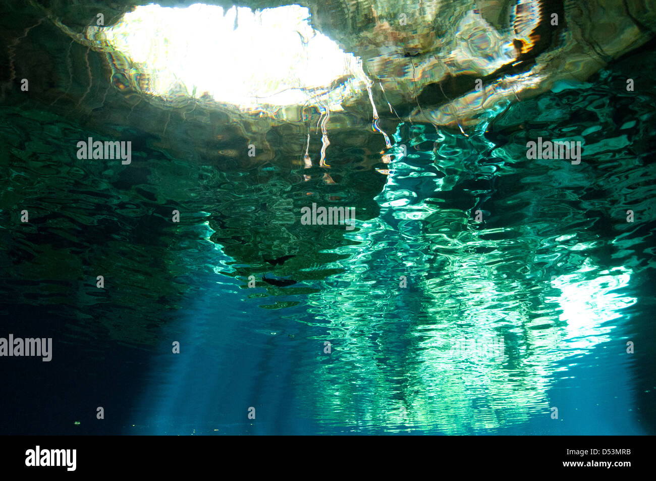 A Shot taken inside a cenote cave looking toward the light source. Stock Photo
