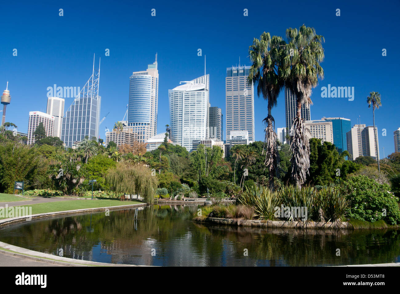 Royal Botanic Gardens with CBD skyline behind Sydney New South Wales (NSW) Australia Stock Photo