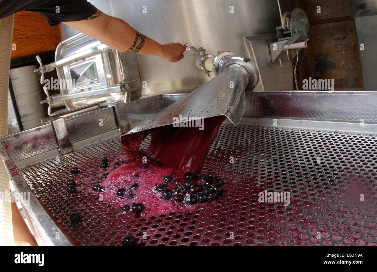 Wine Fermentation Process Stock Photos & Wine Fermentation Process ...