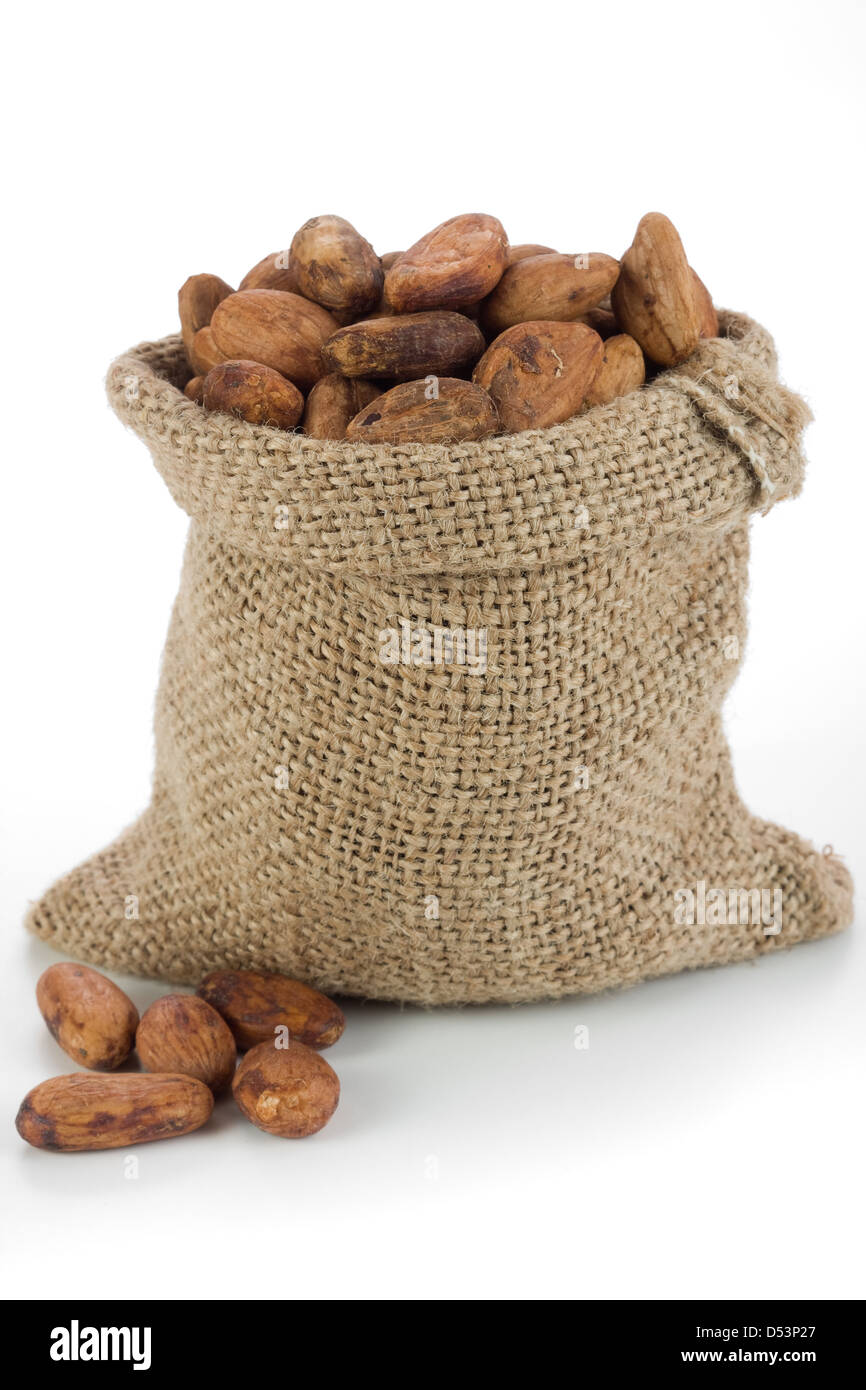 Cocoa beans in burlap bag Stock Photo