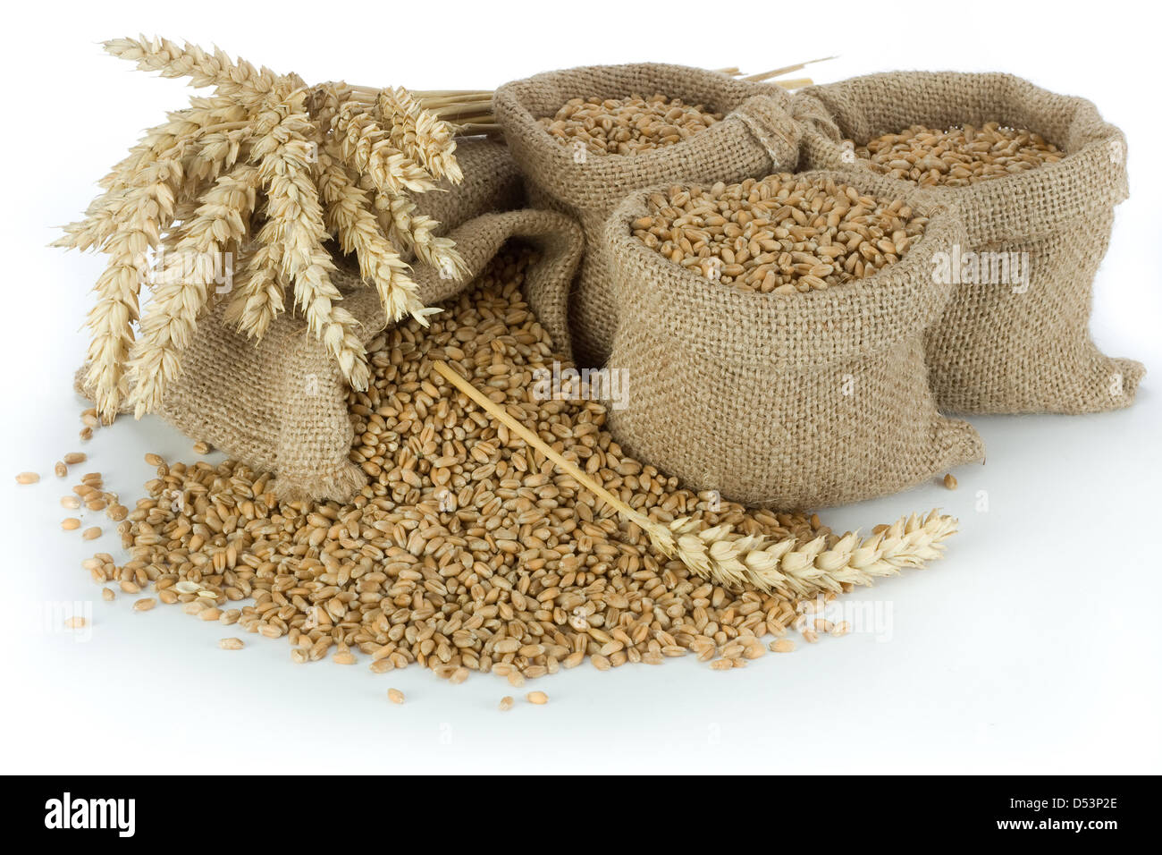 Wheat grain in small burlap sacks Stock Photo