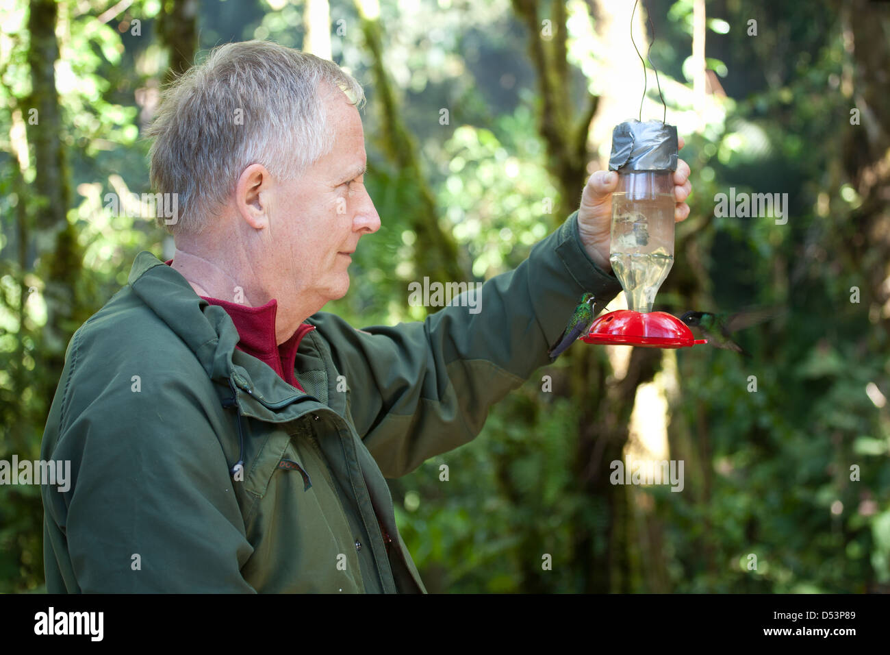 Man holding hummingbird feeder at Los Quetzales lodge, La Amistad national park, Chiriqui province, Republic of Panama. Stock Photo