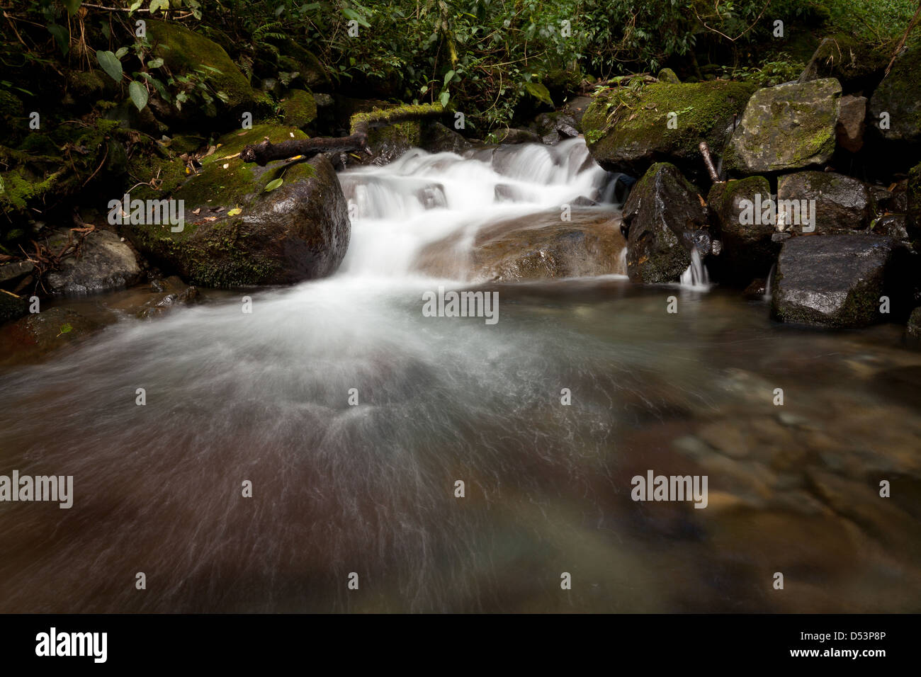 Chiriqui river hi-res stock photography and images - Alamy