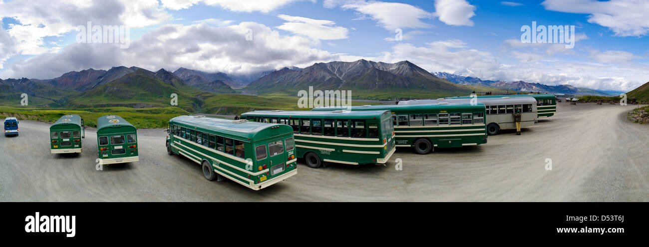 Panorama view of buses used to transport tourists, Eielson Visitor Center, Denali National Park & Preserve, Alaska, USA Stock Photo