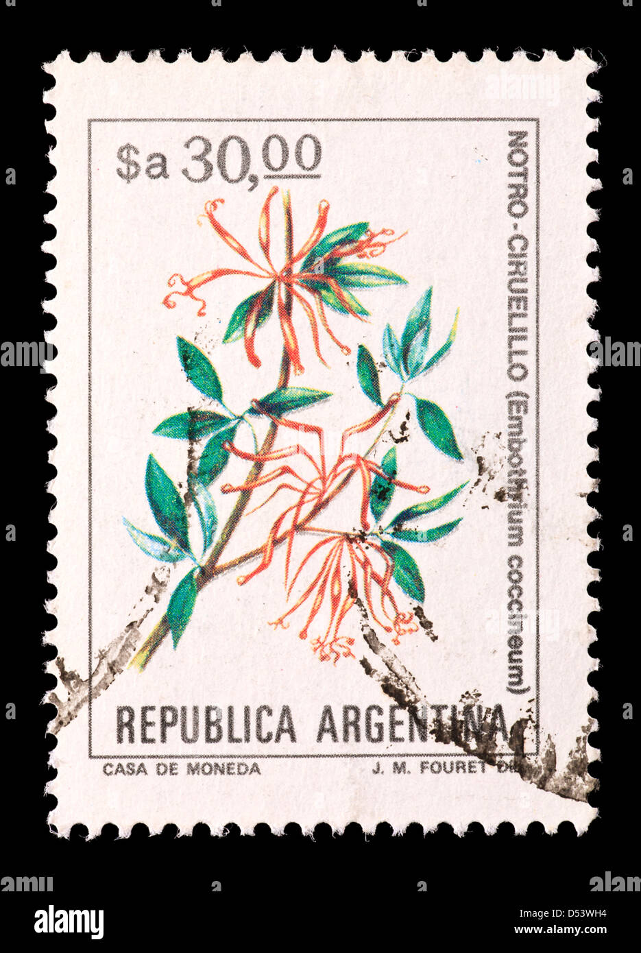 Postage stamp from Argentina depicting Chilean firetree or Chilean firebush flowers (Embottirium coccineum) Stock Photo