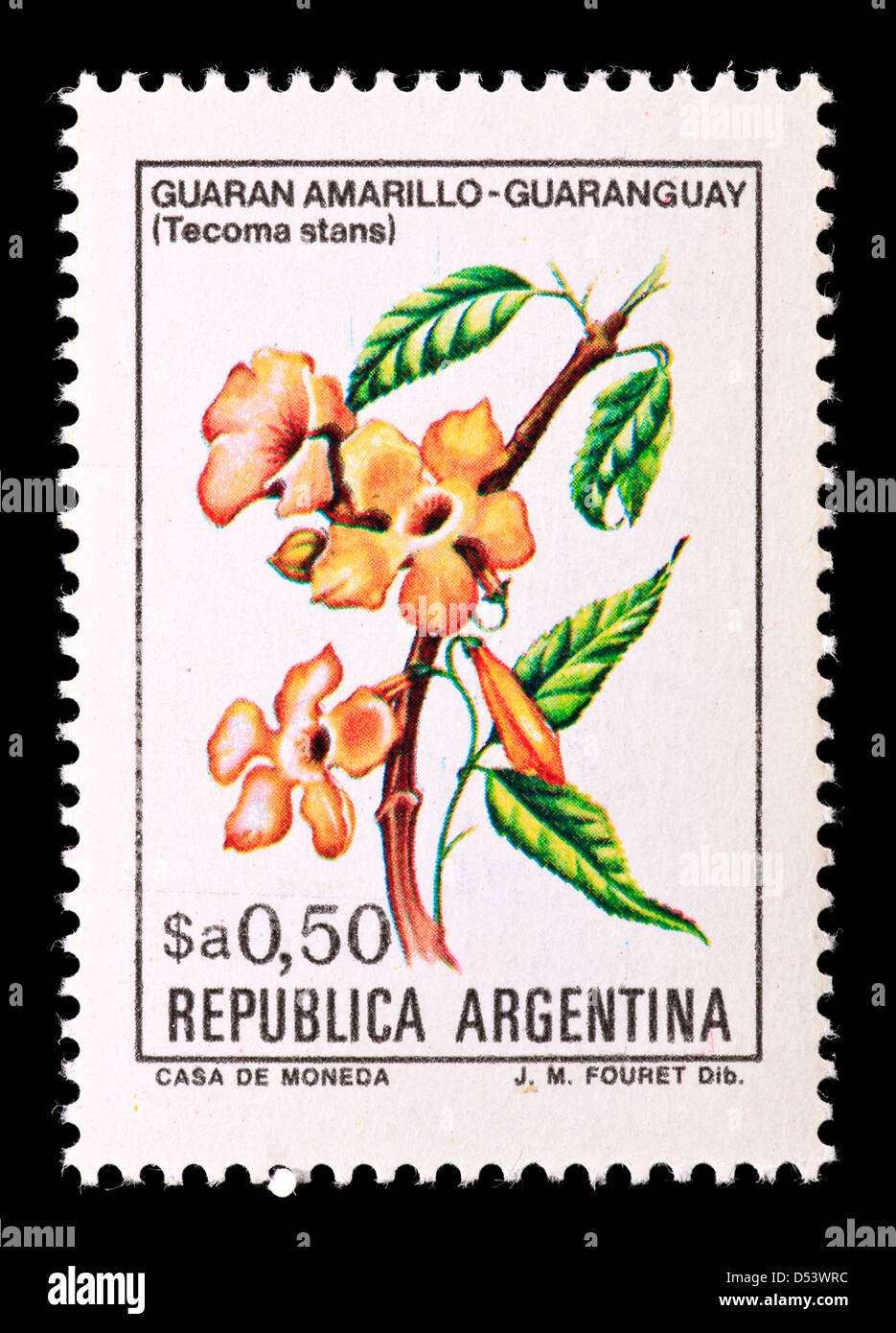 Postage stamp from Argentina depicting yellow trumpetbush flower (Tecoma stans) Stock Photo