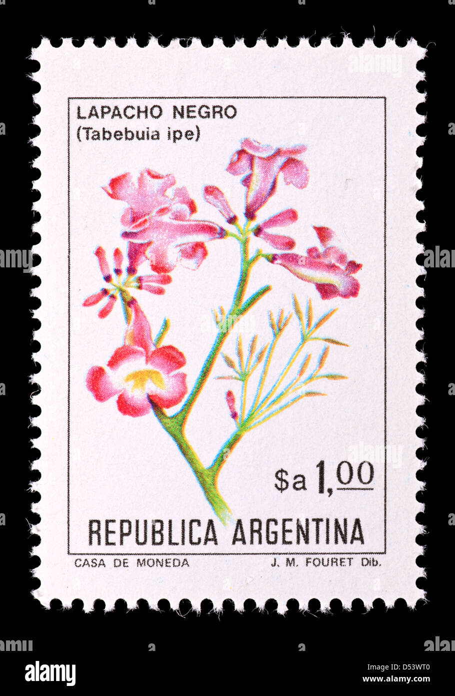 Postage stamp from Argentina depicting the flowers of the Pink Trumpet