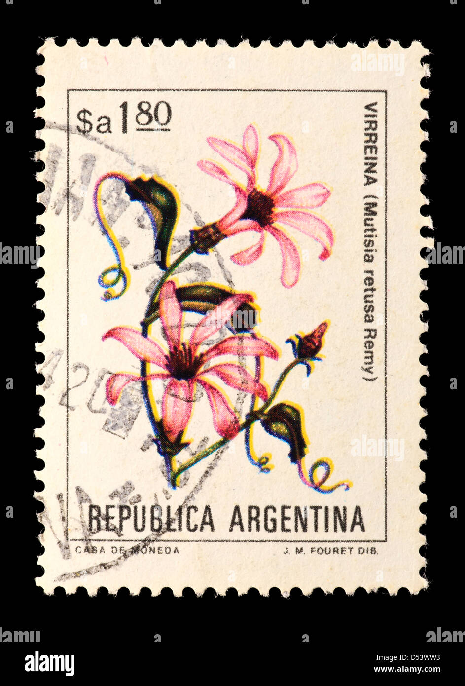 Postage stamp from Argentina depicting Mutisia flower (Mutisia retusa) Stock Photo