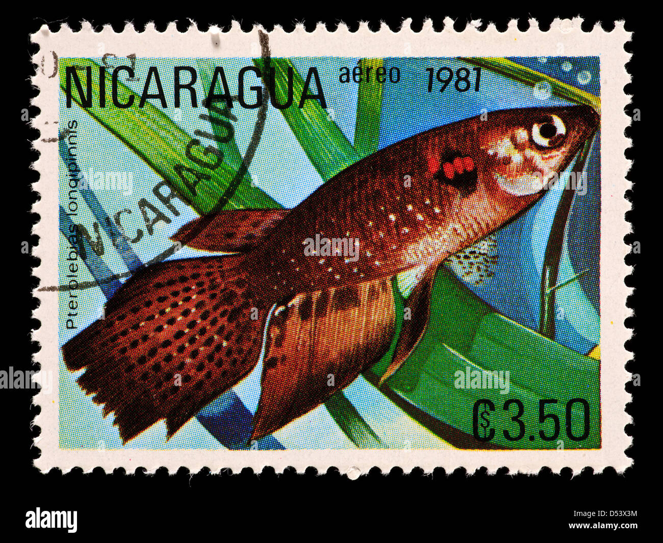 Postage stamp from Nicaragua depicting a longfin killie (Pterolebias longipinnis) Stock Photo