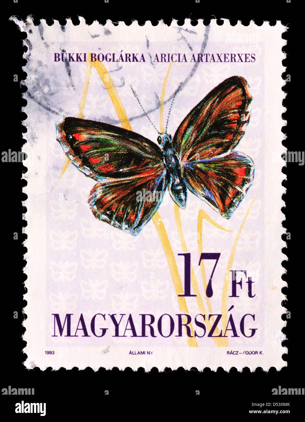 Postage stamp from Hungary depicting Northern Brown Argus butterfly (Aricia artaxerxes) Stock Photo