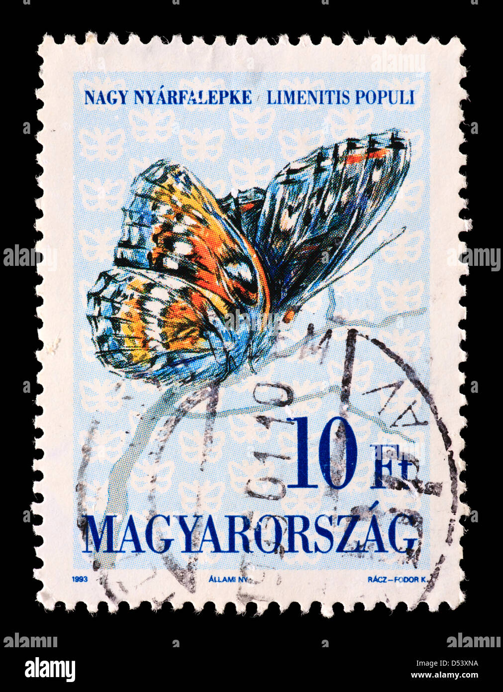 Postage stamp from Hungary depicting a Poplar admiral butterfly (Limenitis populi) Stock Photo