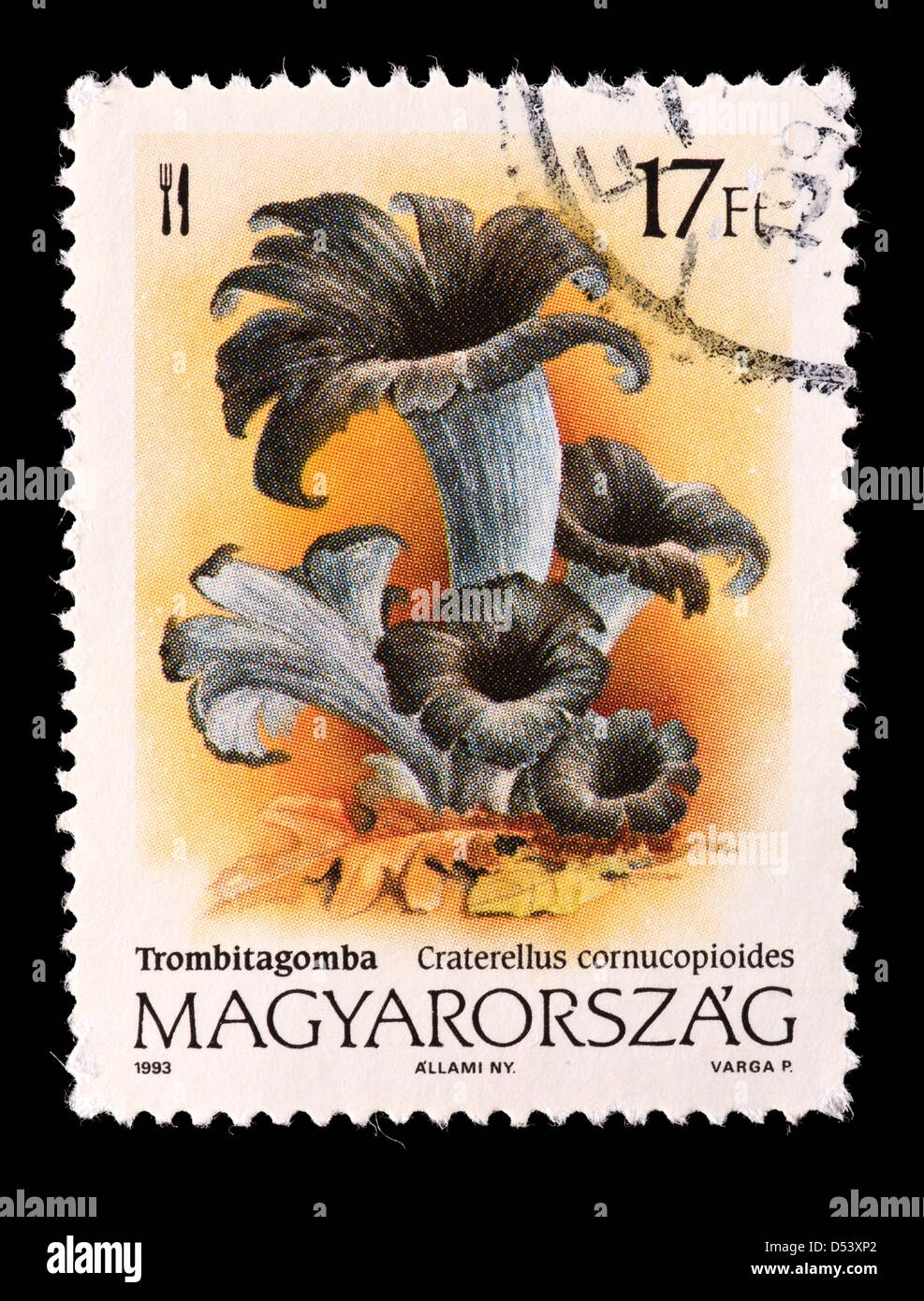 Postage stamp from Hungary depicting a trumpet of the dead or black chanterelle mushroom (Craterellus cornucopioides ) Stock Photo