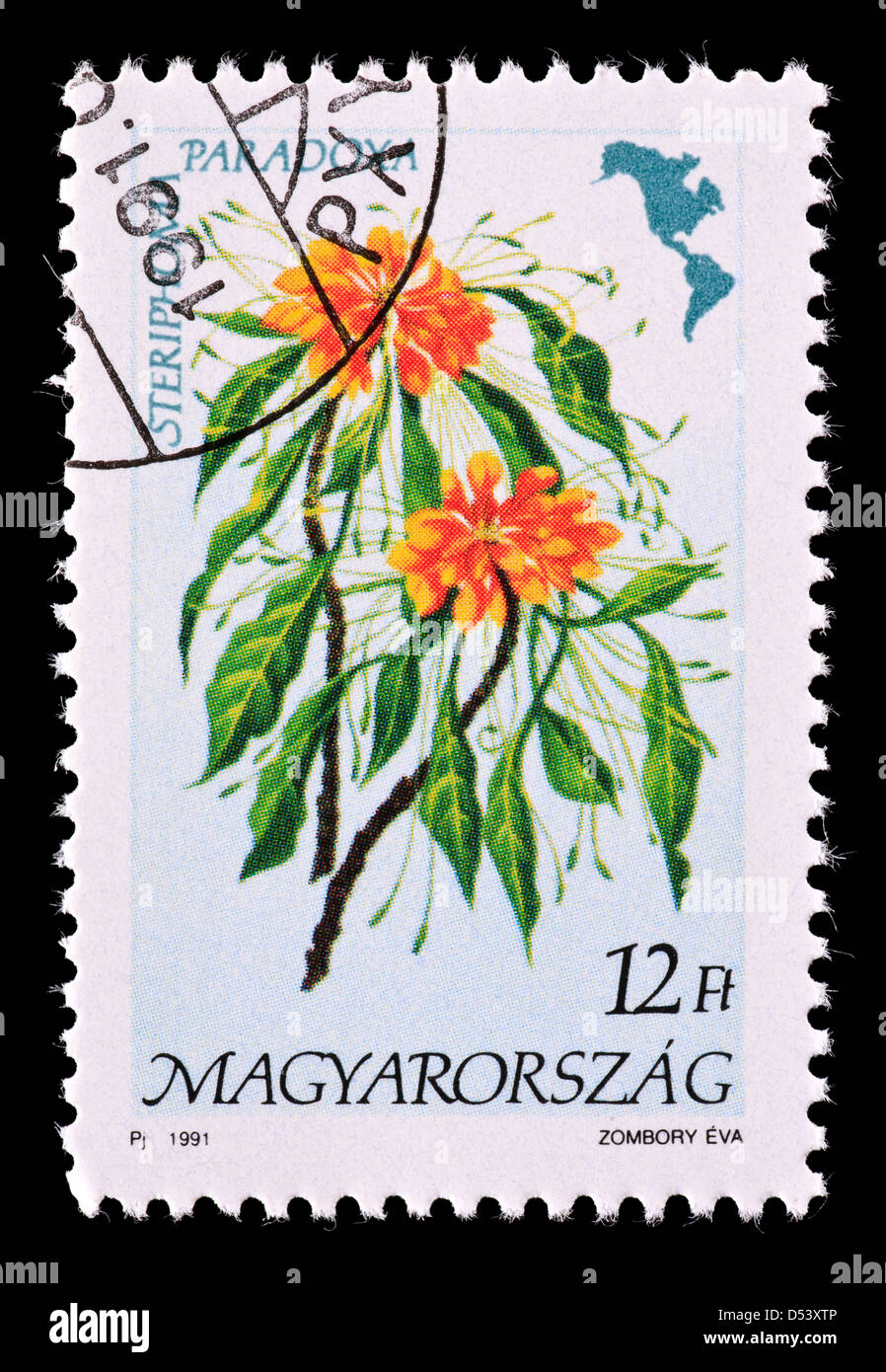 Postage stamp from Hungary depicting a North American flower ...