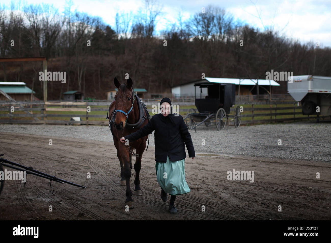 Dec. 5, 2012 Bergholz, Ohio, U.S. An Amish girl walks the family carriage horse to the barn