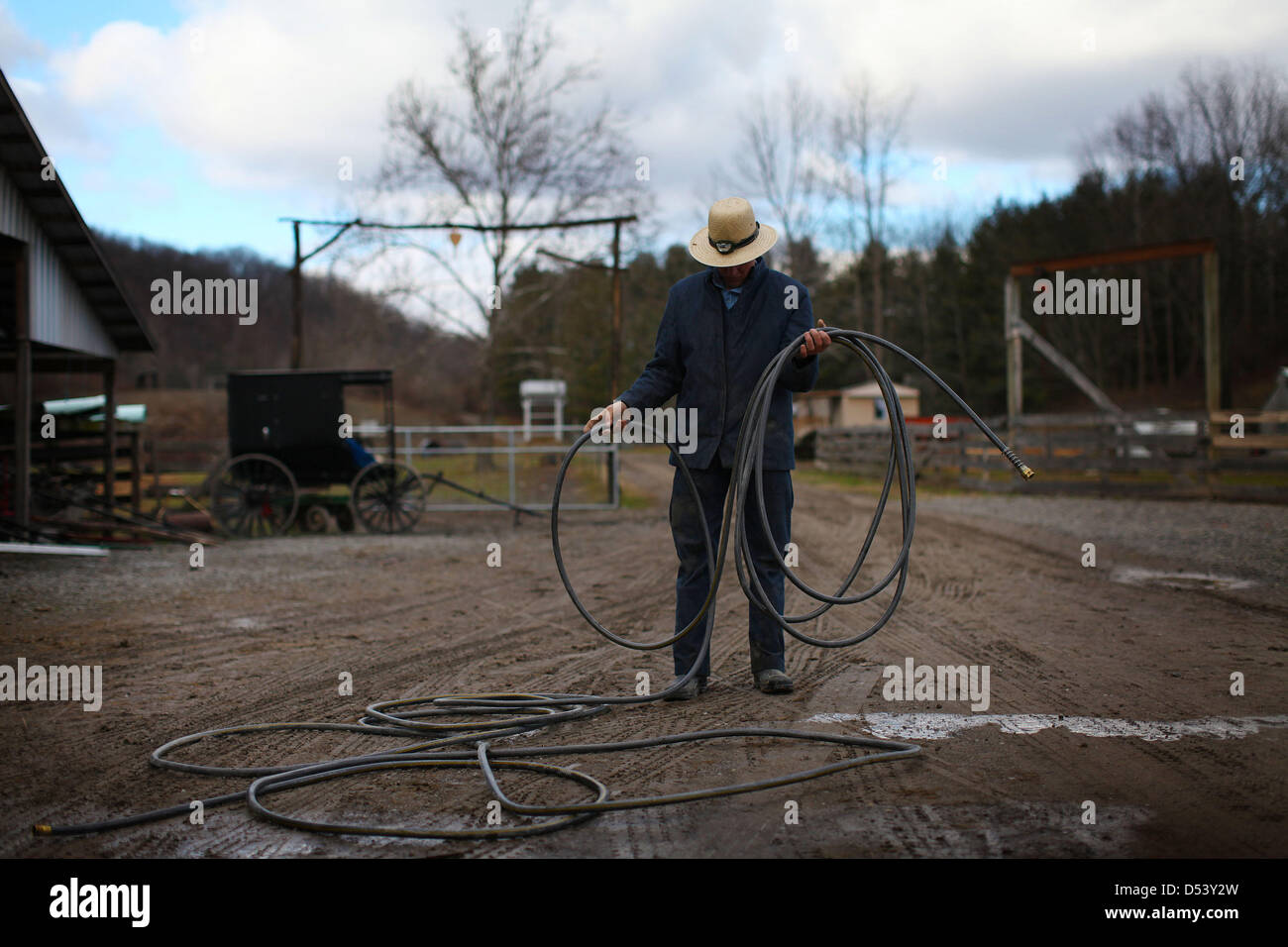 Dec. 5, 2012 Bergholz, Ohio, U.S. EDWARD MAST gathers up some hose