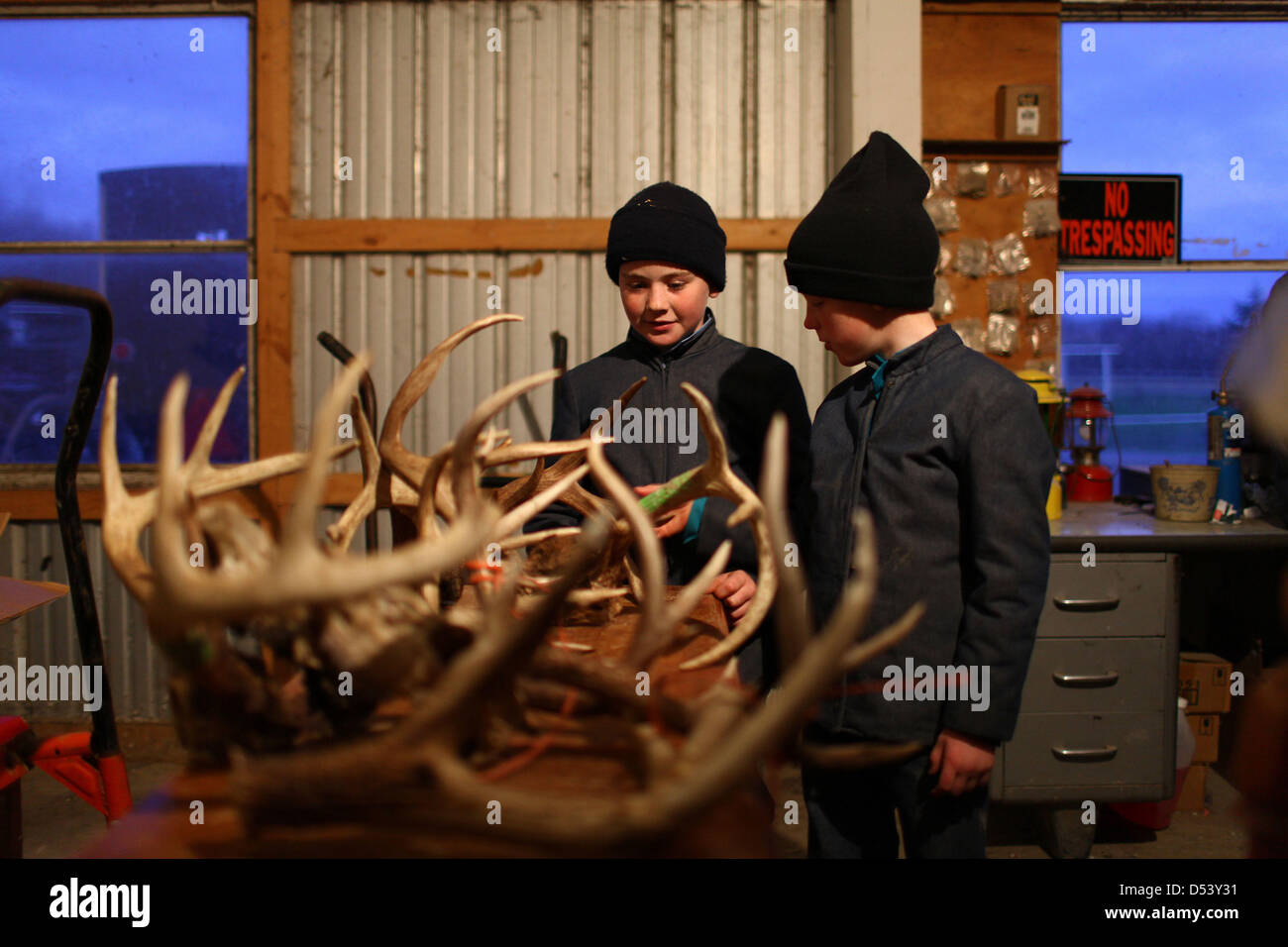 Dec. 5, 2012 Bergholz, Ohio, U.S. Young Amish boys look at the antlers from the bucks that