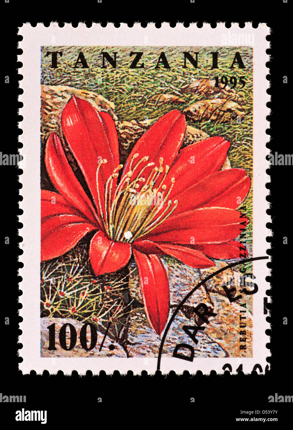 Postage stamp from Tanzania depicting a cactus flower (Rebutia spegazzinia) Stock Photo