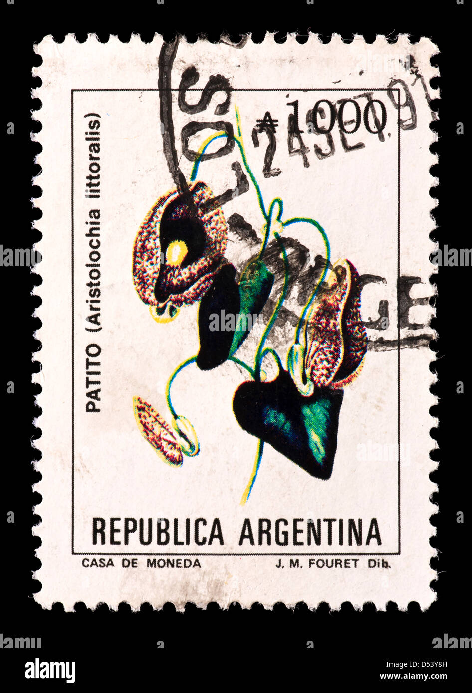 Postage stamp from Argentina depicting a calico flower or elegant Dutchman's pipe flower (Aristolochia littoralis) Stock Photo