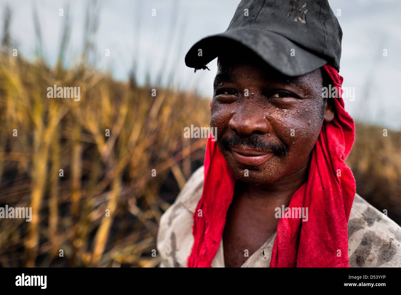 Cane cutter hires stock photography and images Alamy