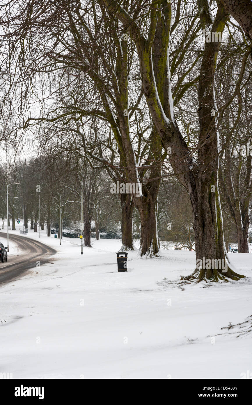 Northampton, UK. 24th March 2013. constant light snow overnight leaving   roads quite this morning. Credit: Keith Smith/ Alamy Live News Stock Photo