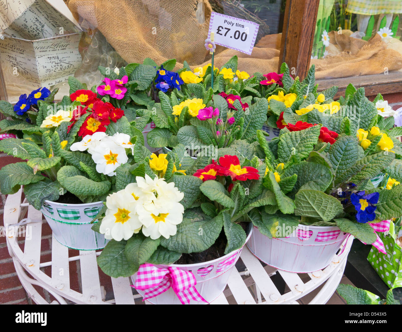 Spring flowers for sale outside a shop in Darlington, north east England, UK Stock Photo