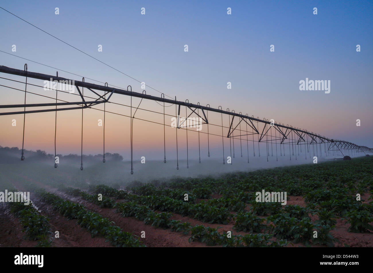 Computerized Mobile Watering System at sunrise Photographed in Israel, Negev, Kibbutz Dorot Stock Photo
