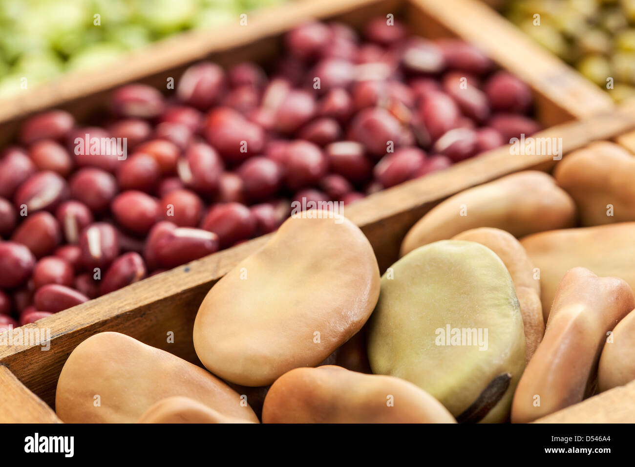 fava (broad) beans shot with shallow depth of field with adzuki beans and other legumes in background Stock Photo