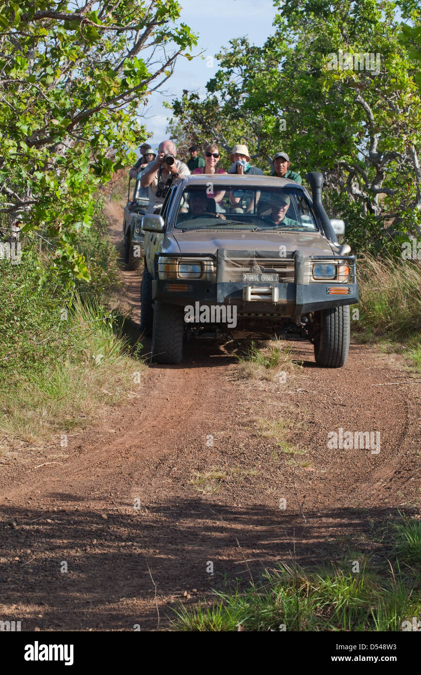 Eco-tourists aboard four wheel drive vehicles, searching for Giant ...