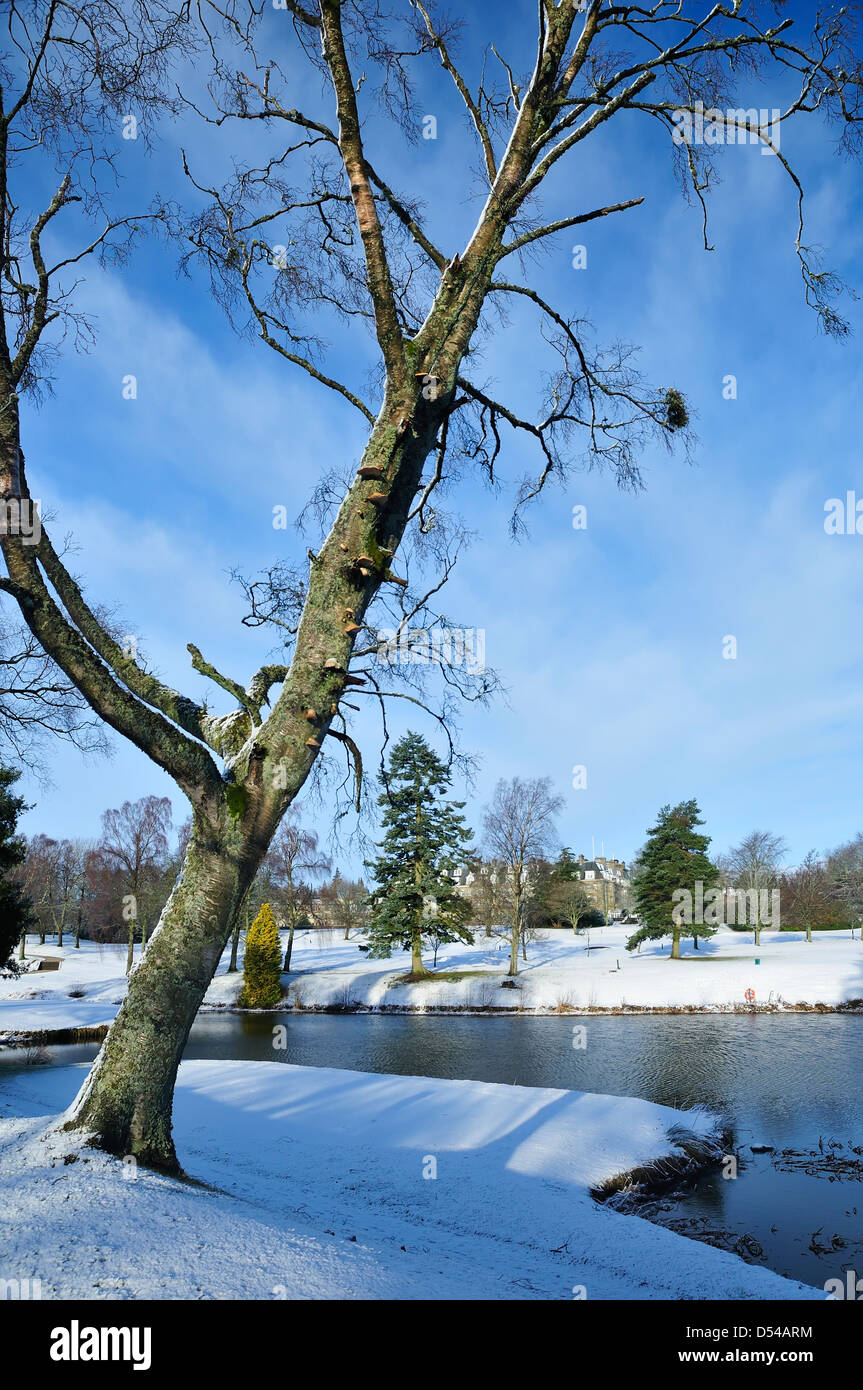 Pond at Gleneagles Golf and Hotel resort in mid-winter Stock Photo
