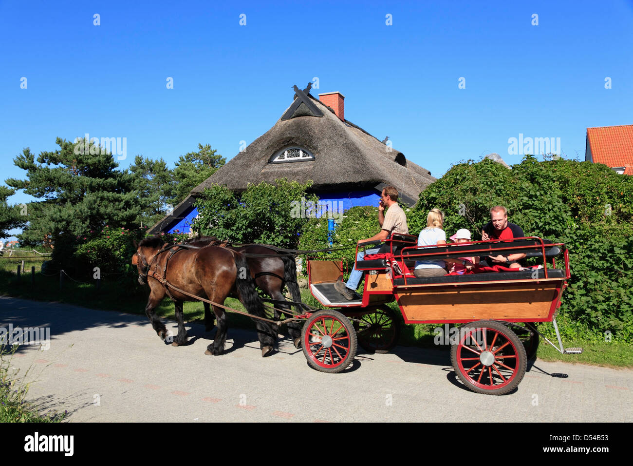 Hiddensee Island, Vitte, carriage in front of BLUE BARN, Blaue Scheune, Mecklenburg Western Pomerania, Germany Stock Photo