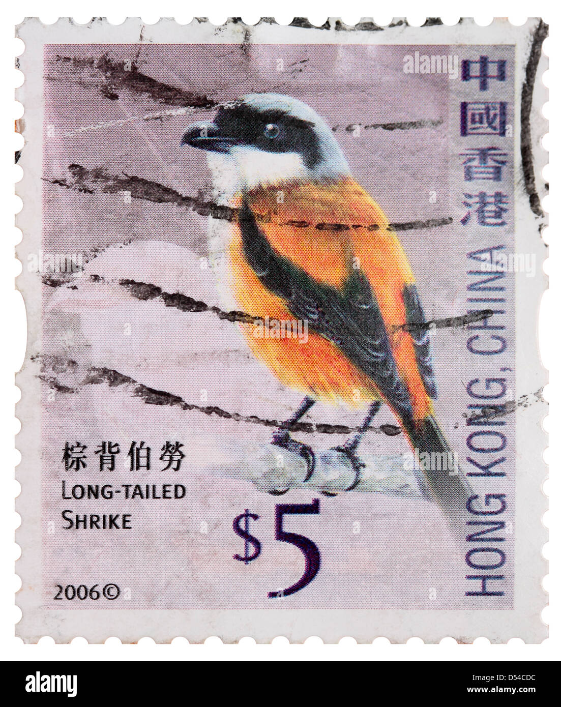 Used Five Hong Kong Dollar Postage Stamp - Long-Tailed Shrike Stock Photo