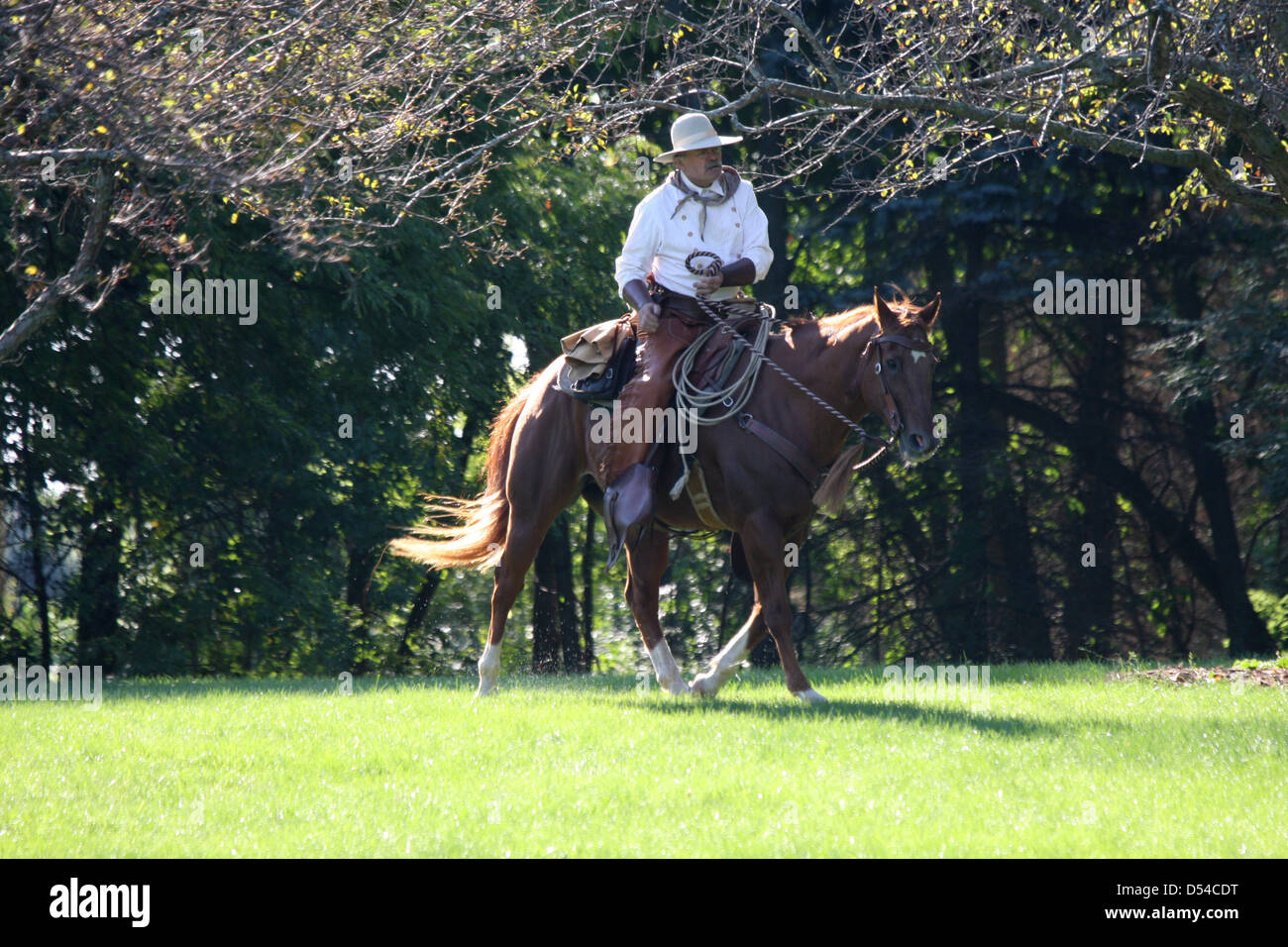 A cowboy riding his horse in the early morning (motion) Stock Photo