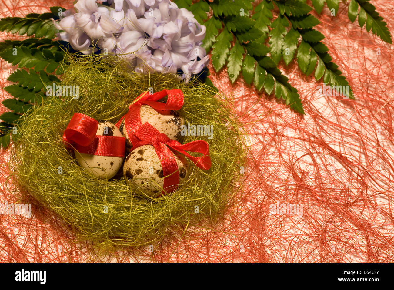 Easter eggs with red ribbon in nest and blue hyacinth on red background Stock Photo