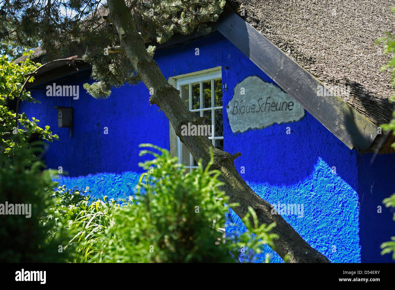 Hiddensee Island, Vitte, Blue Barn, Blaue Scheune,  Mecklenburg Western Pomerania, Germany Stock Photo