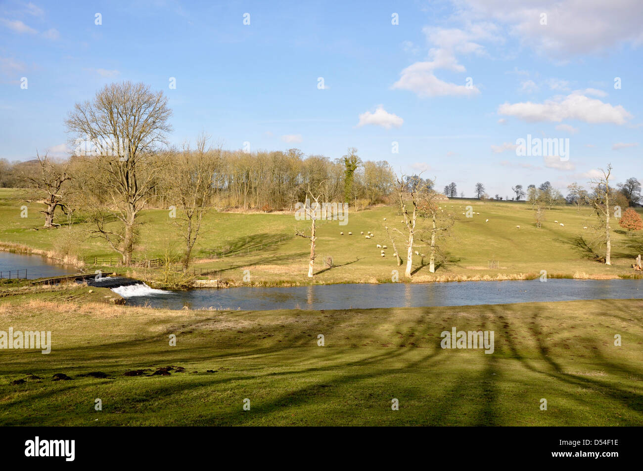 England, Cotswolds, Gloucestershire, Sherborne Valley spring colour ...
