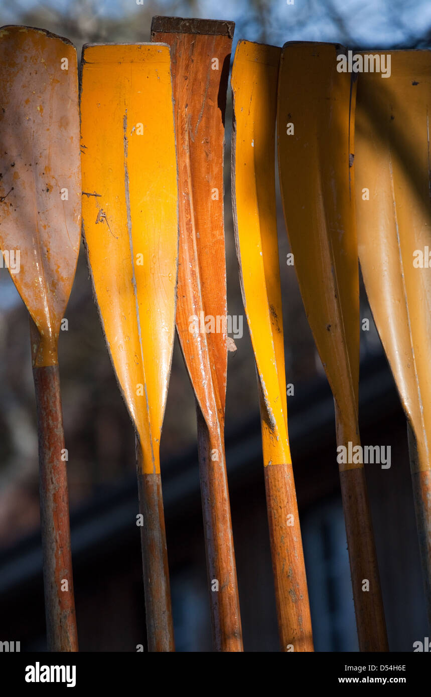 Berlin, Germany, established oars Stock Photo