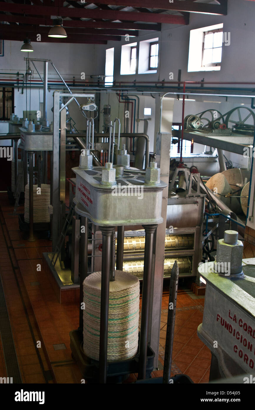 The pressing and processing room of Nunez de Prado Olive Oil Factory in