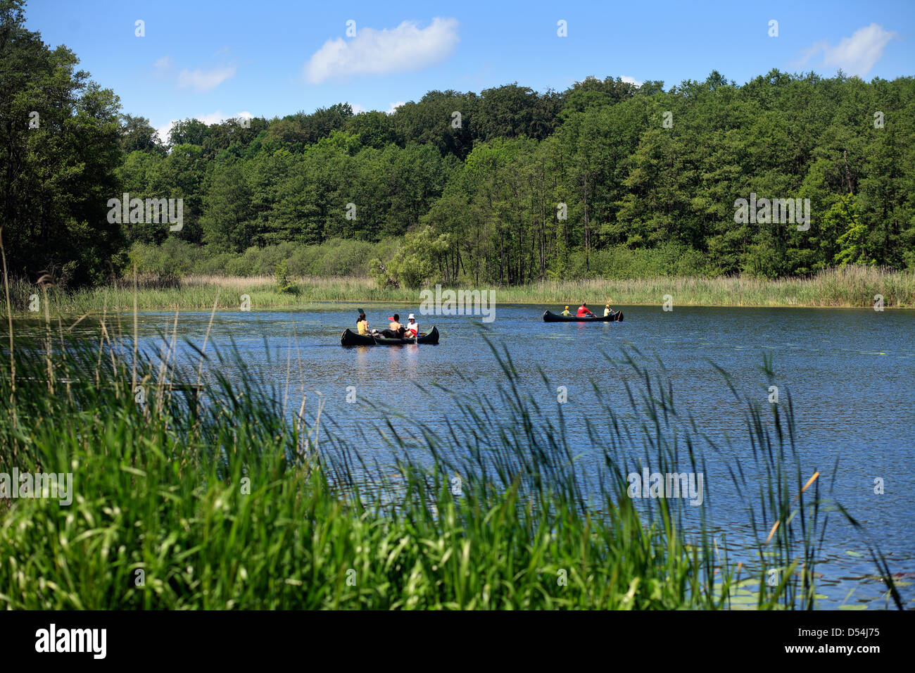 Boitzenburg, Germany, canoers on a lake Stock Photo