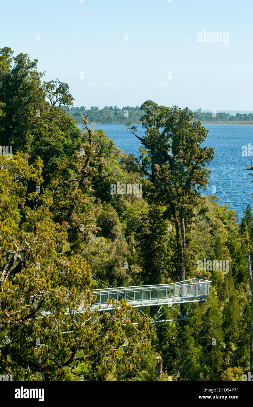 Treetop Walk, Hokitika, West Coast, New Zealand Stock Photo Alamy