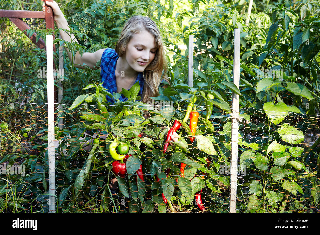 Teen gardening Stock Photo