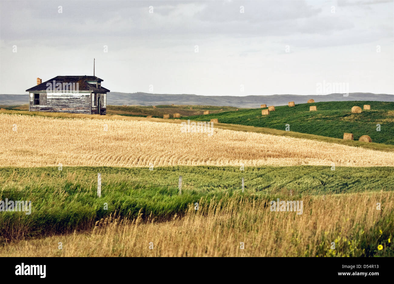 Rural Saskatchewan in summer with crops Canada Stock Photo