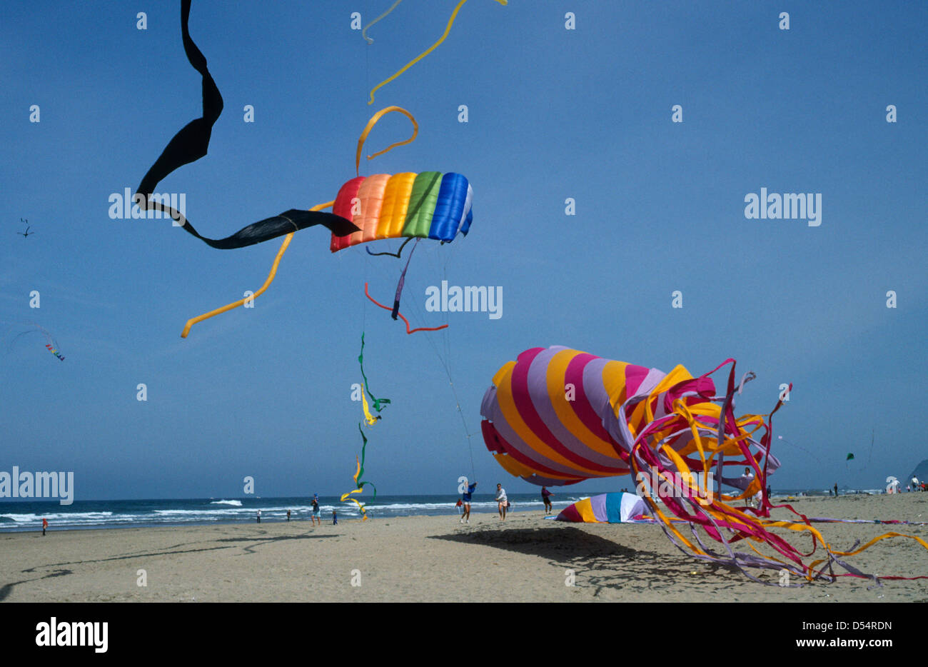 Lincoln City Kite Festival 2024 Dates Lina Jacynth