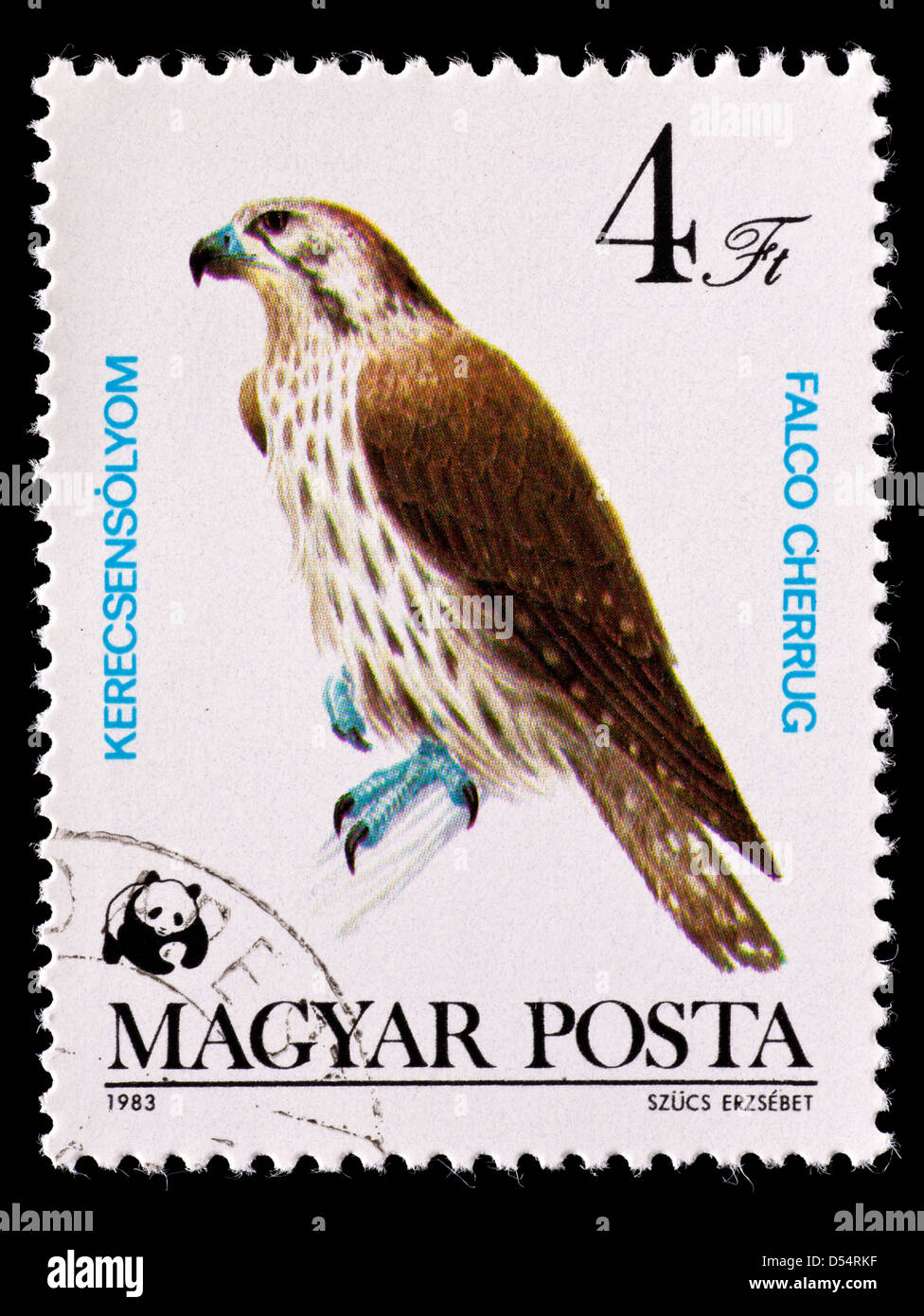 Postage stamp from Hungary depicting a White-tailed Sea-eagle  (Haliaetus albicilla) Stock Photo