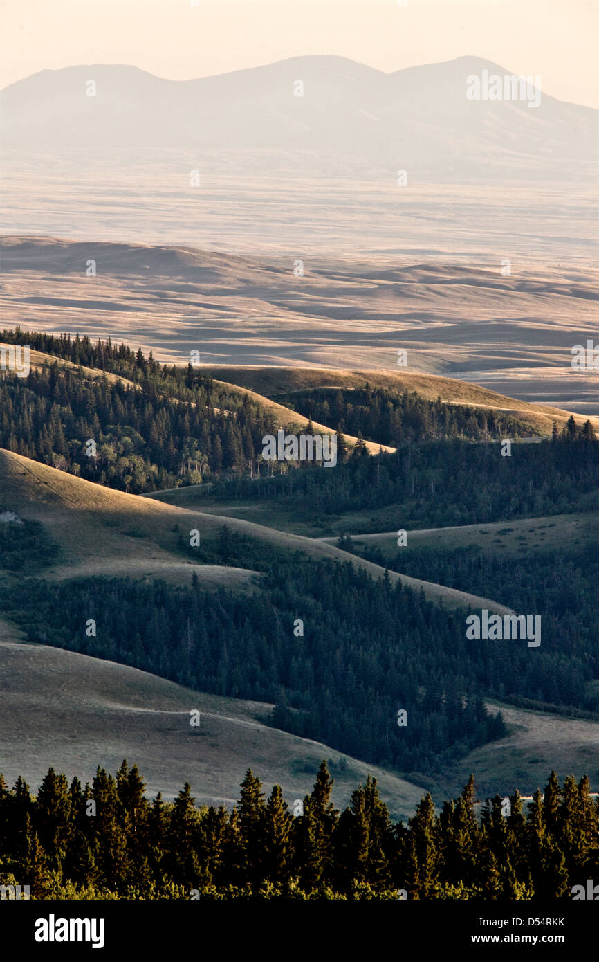 Horseshoe canyon alberta hires stock photography and images Alamy
