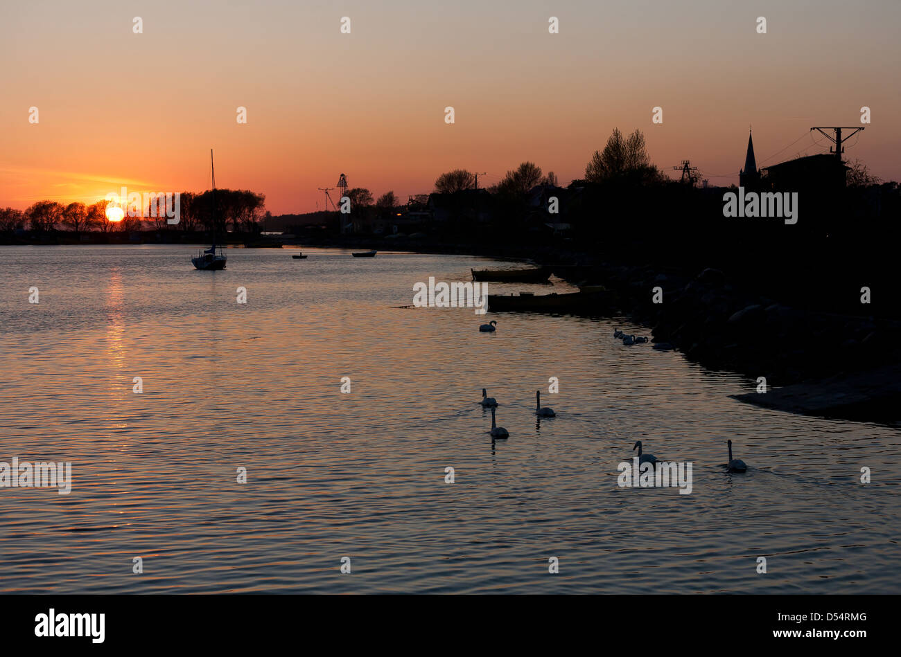 Kiss Field, Poland, swans in the sunset in the Puck Bay Stock Photo